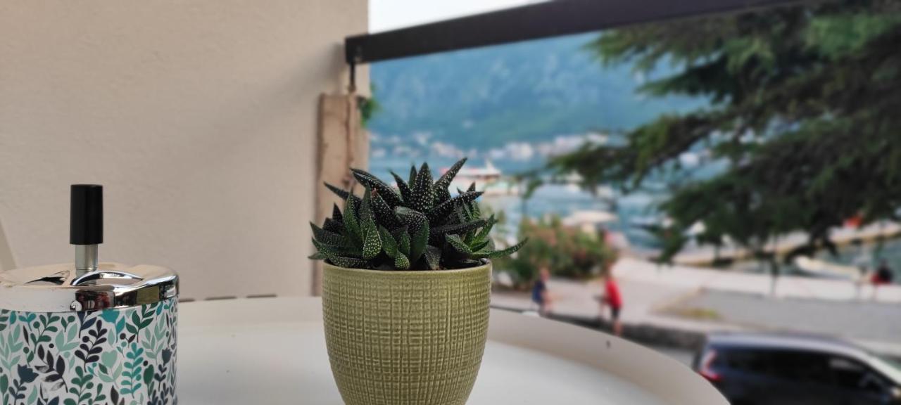 Apartament Apartman Lubarda Kotor Zewnętrze zdjęcie